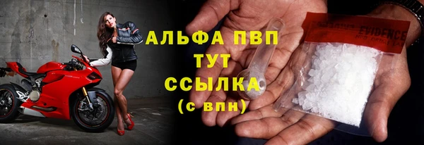 спиды Волоколамск